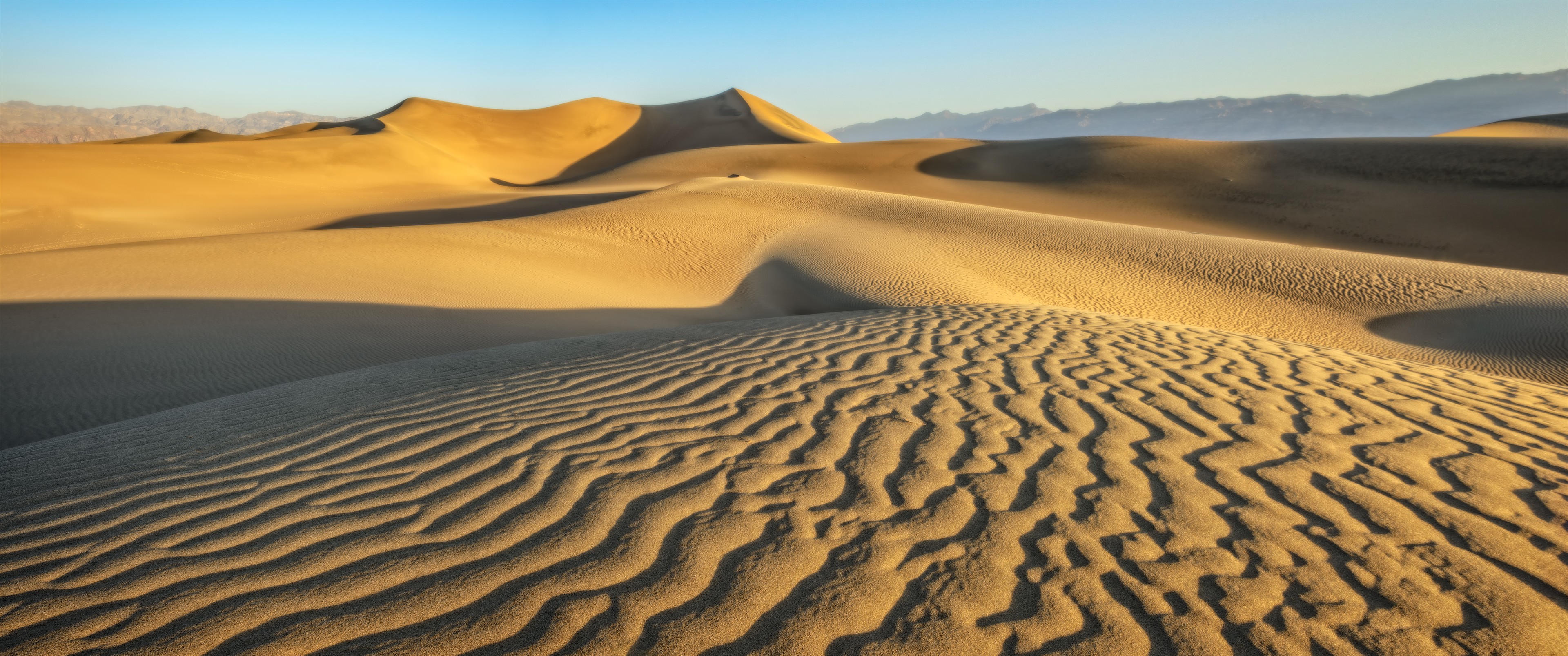 Wind-Written Dunes at Dawn, Death Valley National Park