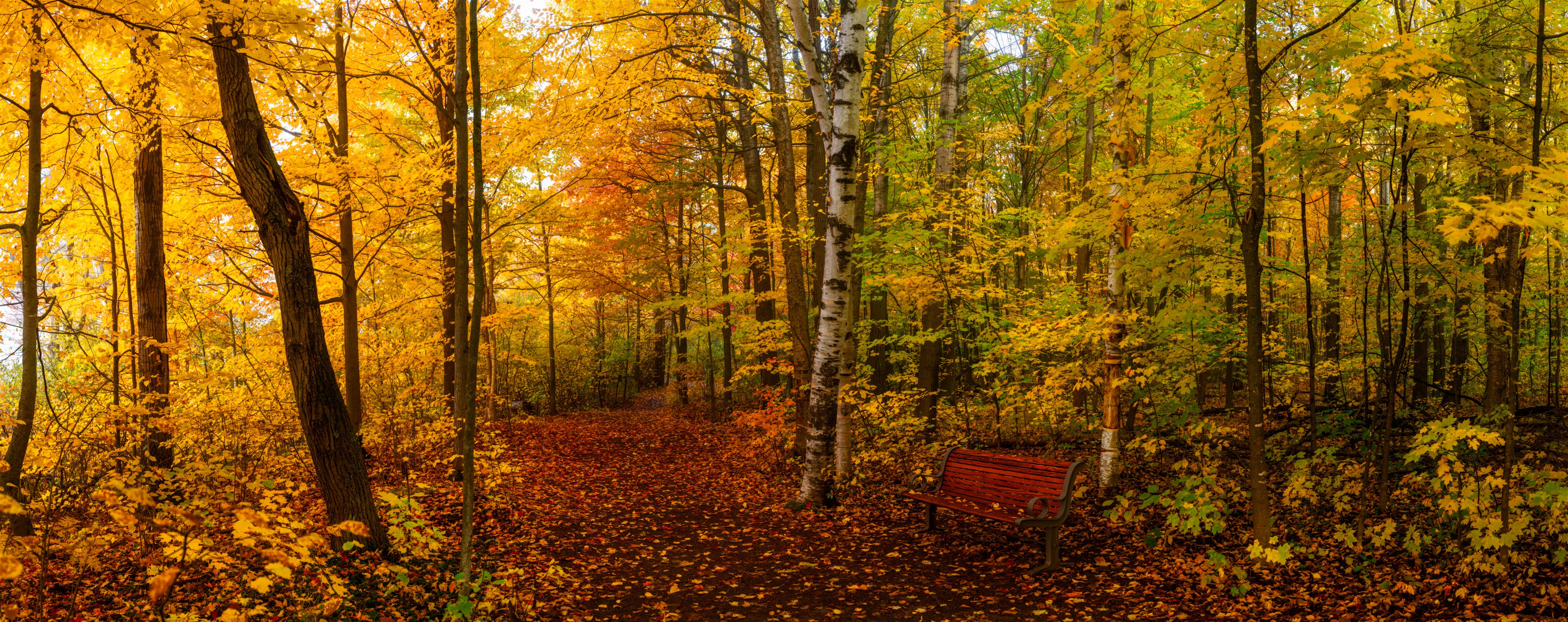 Fall Rhapsody - Mer Bleue Conservation, Mer Bleue