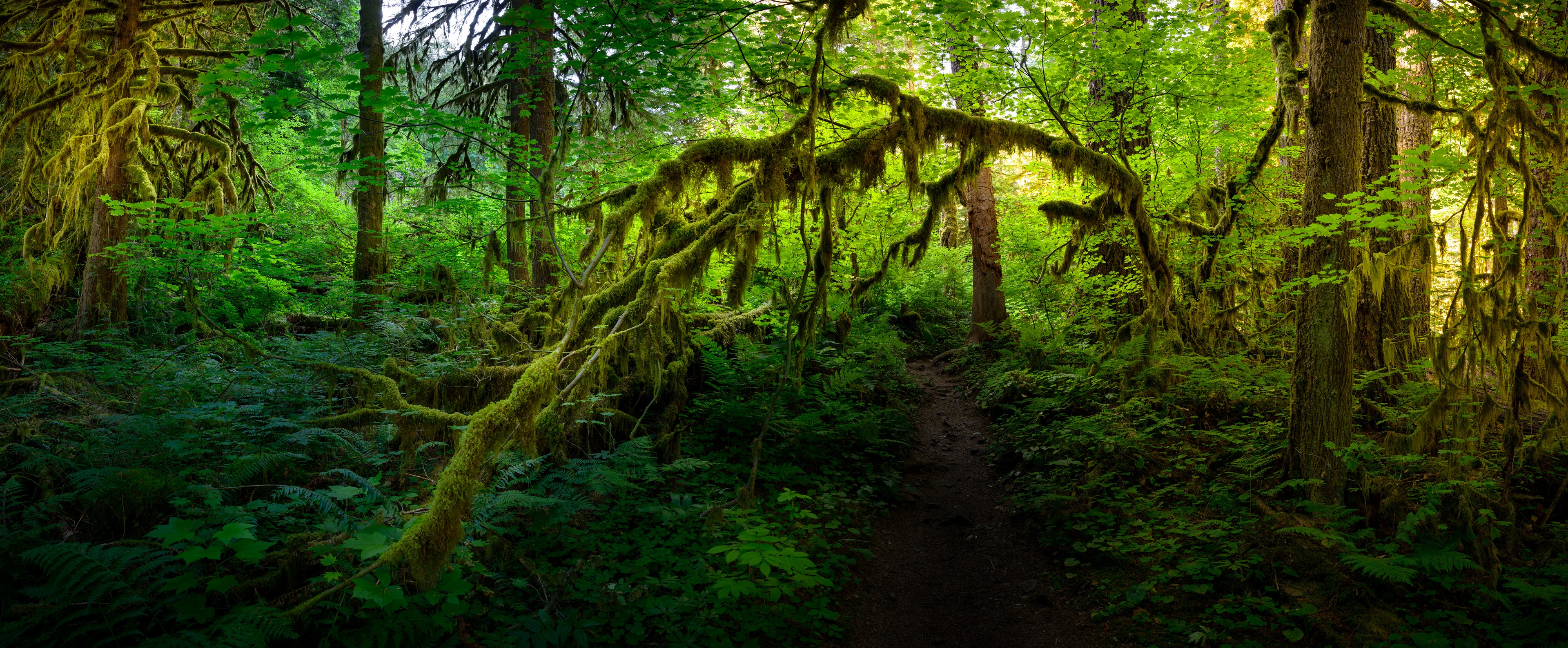 Before the Fire, Columbia River Gorge, Columbia River Gorge