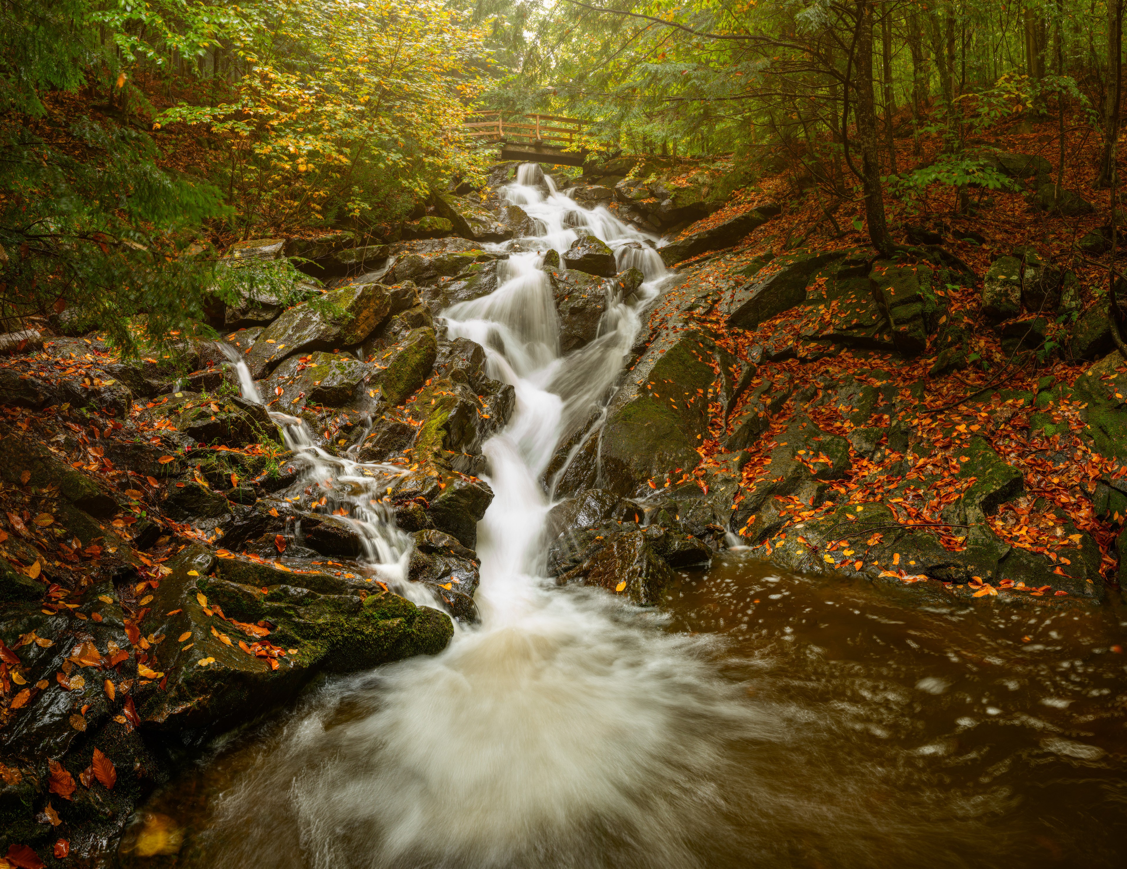 Rain-Washed Autumn at Dunlop Falls, Gatineau