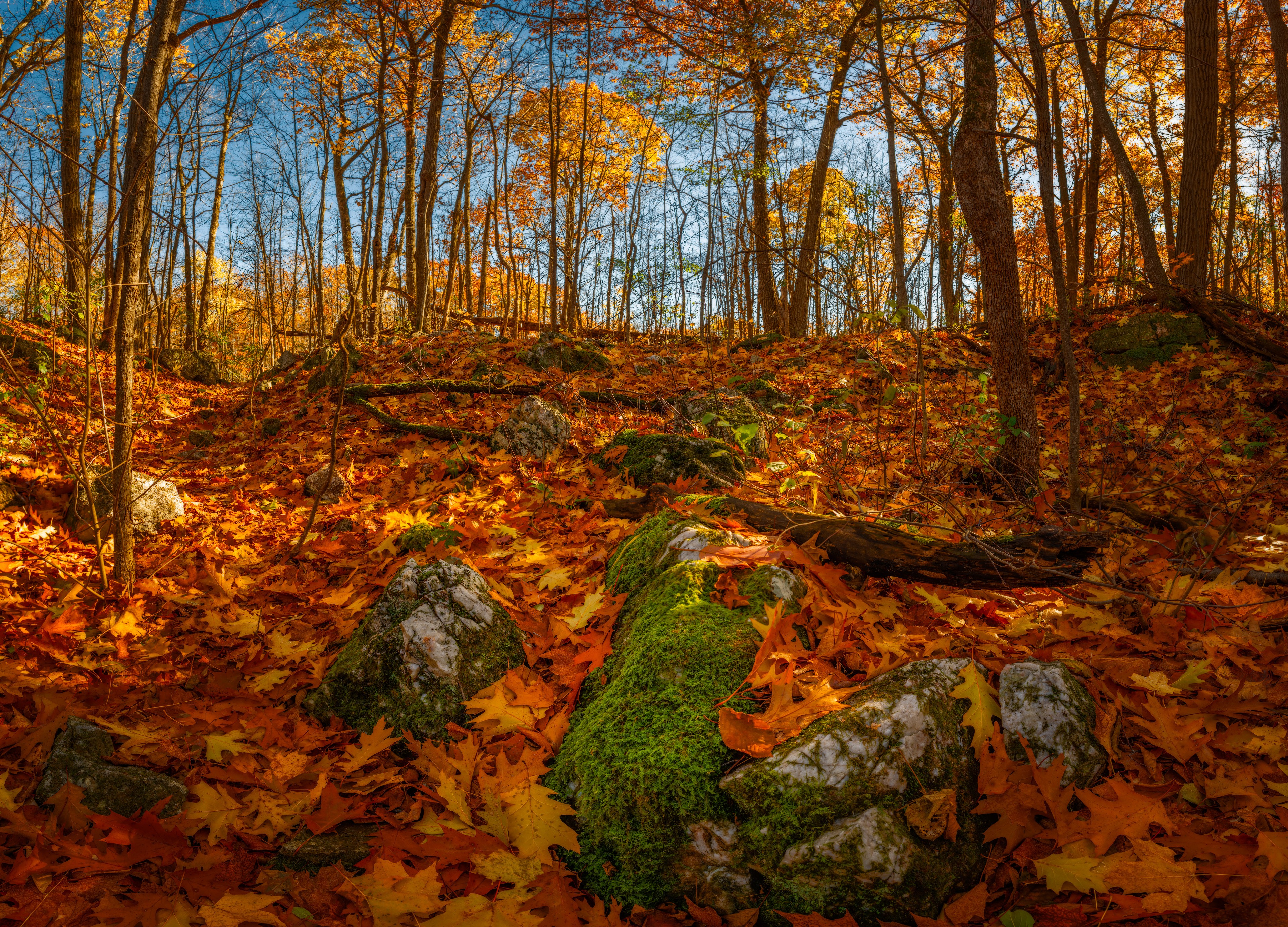 Such a Wonderful Fall Afternoon in Gatineau Park, Gatineau Park