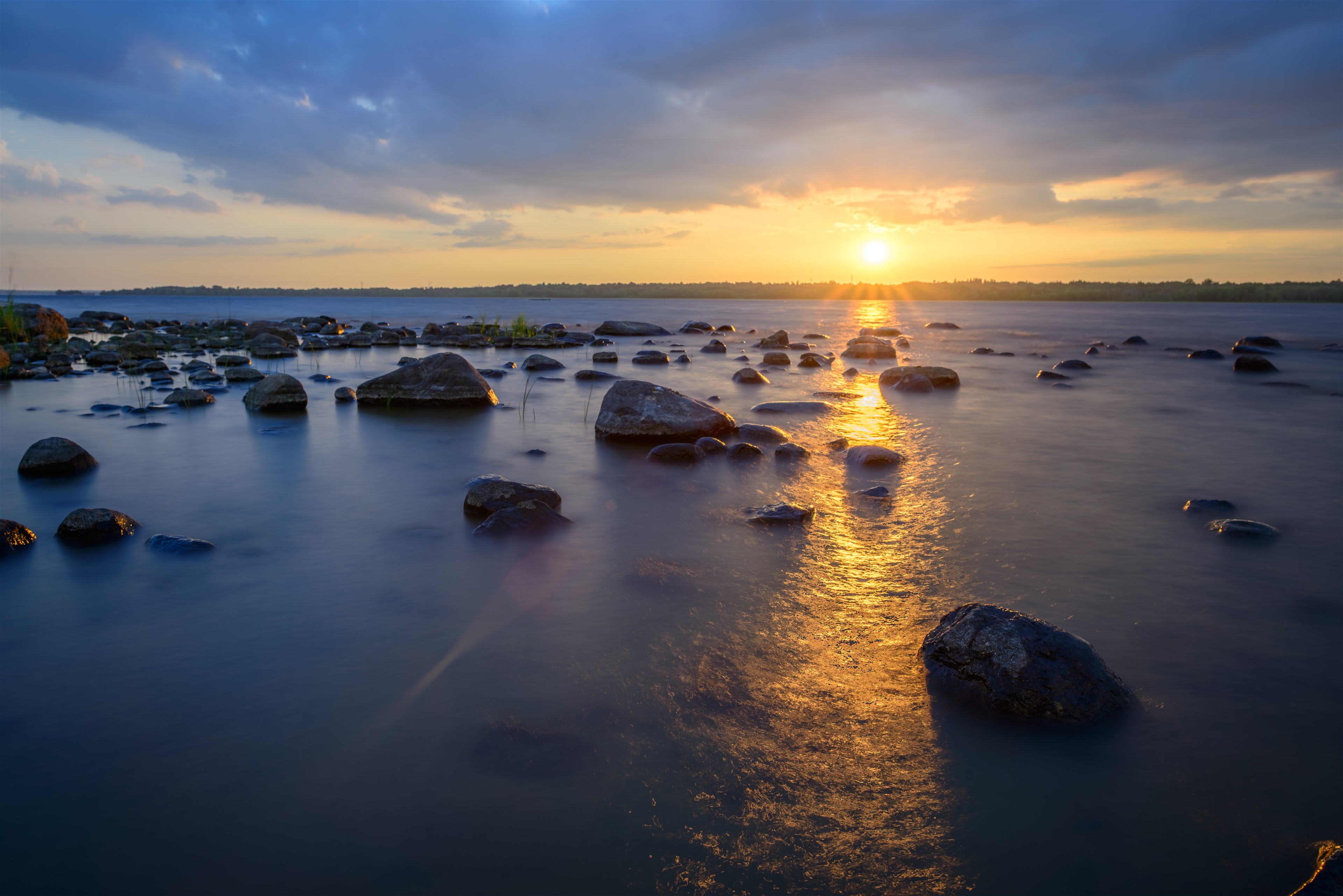 Golden Current, Ottawa River, Ottawa