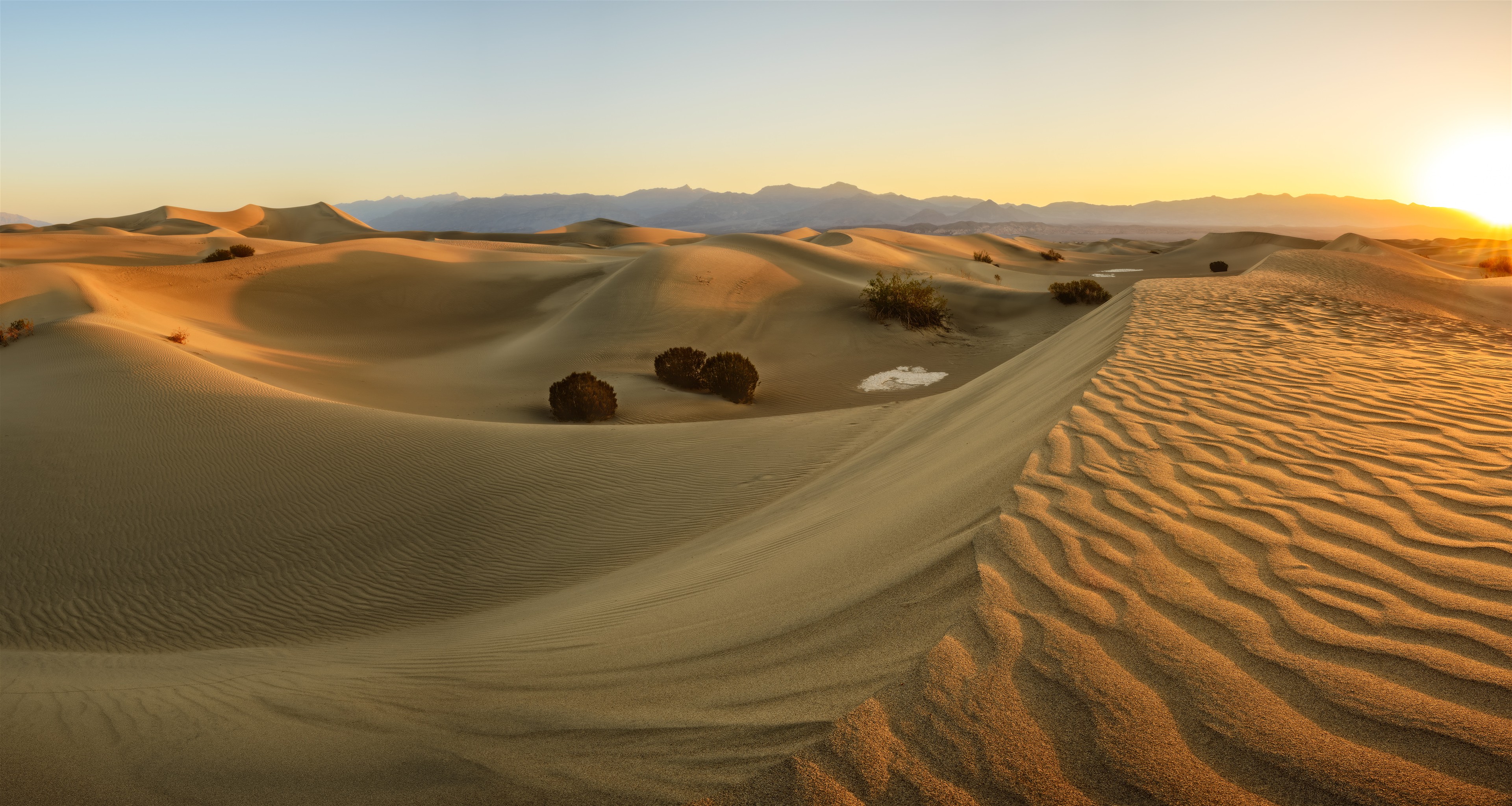 First Light Across Mesquite Flat Dunes, Death Valley National Park