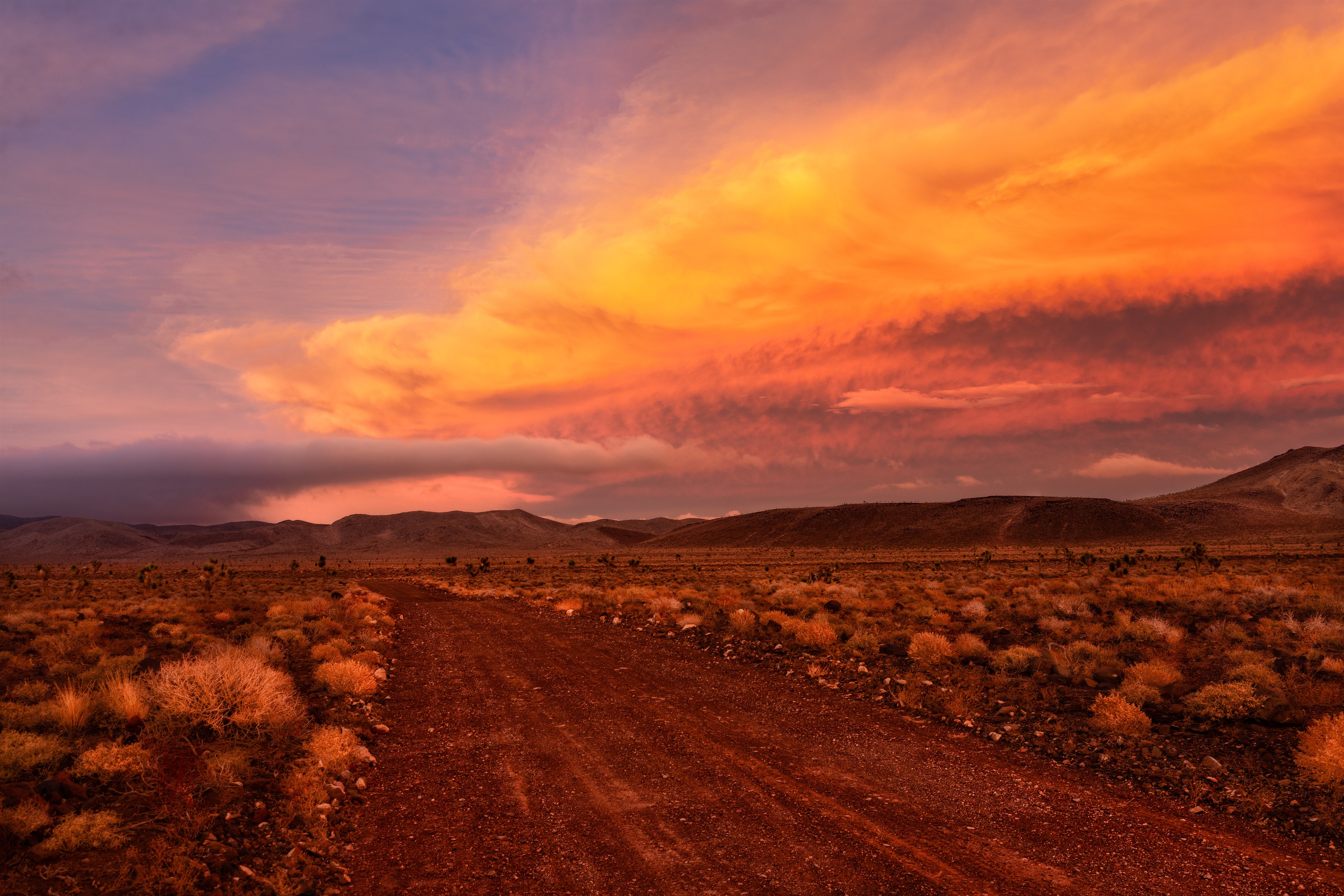 Desolate Road to the Hills, Death Valley National Park